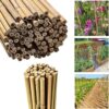 Aruuj Strong Heavy Duty Bamboo Canes 5FT – Professional Garden Stakes – Natural Gardening Poles Sticks – Large Bamboo Plant Support - For Plants, Flower, Outdoor Screening Fences (20, 5FT - (10-12mm))